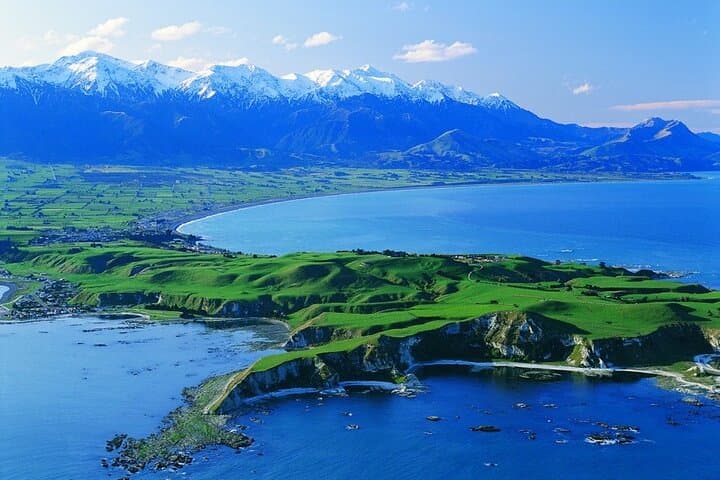 Paddle with Seals: Kaikoura Small-Group Coastal Kayak from Christchurch photo 6