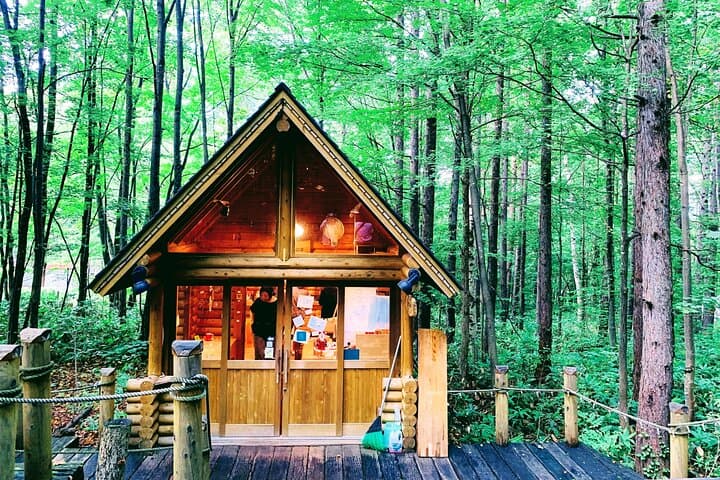 Sapporo to Blue Pond & Shirahige Falls: Private Furano Day Tour photo 5