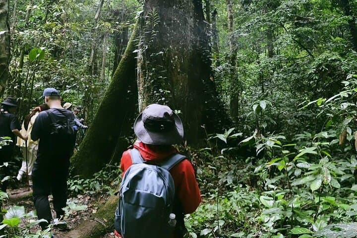 Cuc Phuong National Park Guided Nature Trails from Ninh Binh photo 4
