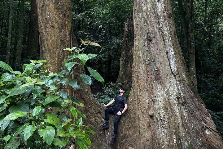 Cuc Phuong National Park Guided Nature Trails from Ninh Binh photo 5