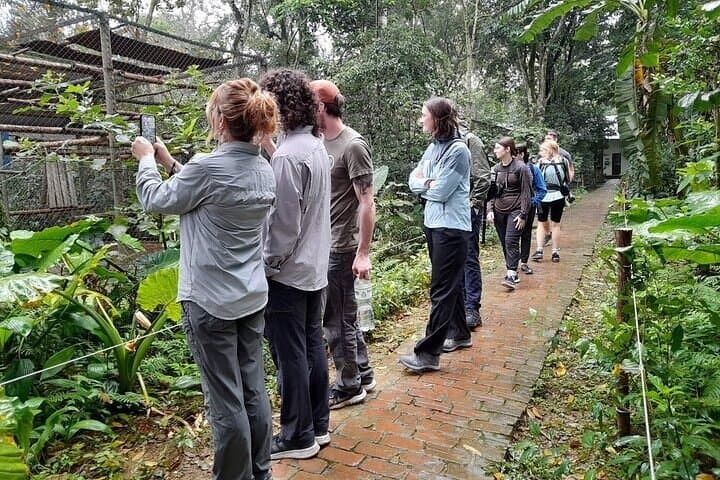 Cuc Phuong Scenic Jungle Trek: Day Tour from Ninh Binh photo 4