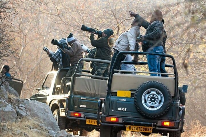 Golden Triangle & Ranthambore: 5-Day Delhi–Agra–Jaipur Safari with Taj Sunrise photo 4