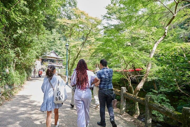 Minoo Falls Hike: Private 2.5-Hour Scenic Walk from Osaka photo 5