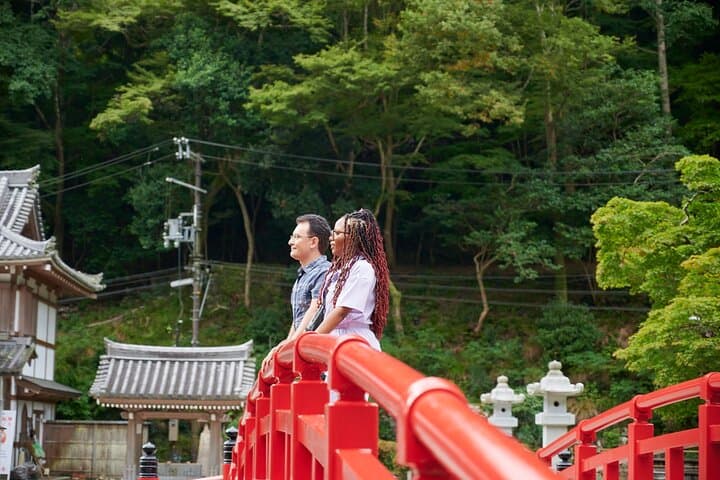 Minoo Falls Hike: Private 2.5-Hour Scenic Walk from Osaka photo 4