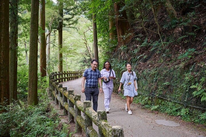 Minoo Falls Hike: Private 2.5-Hour Scenic Walk from Osaka photo 6