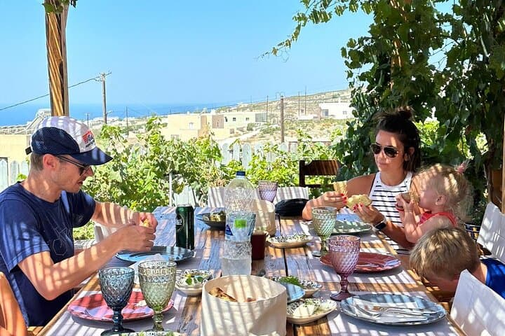 Inside Santorini’s Villages: A Farm-to-Table Tour with Wine and Panoramic Views photo 3