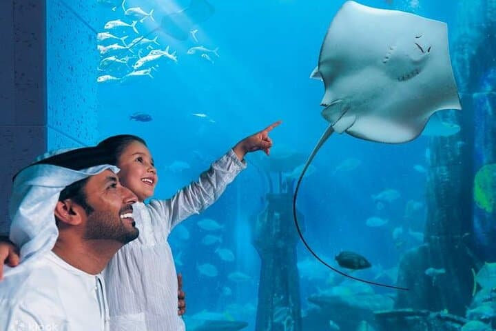 Sky-High Views and Underwater Worlds: Burj Khalifa & Dubai Aquarium Combo Ticket photo 6