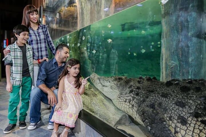 Sky-High Views and Underwater Worlds: Burj Khalifa & Dubai Aquarium Combo Ticket photo 4