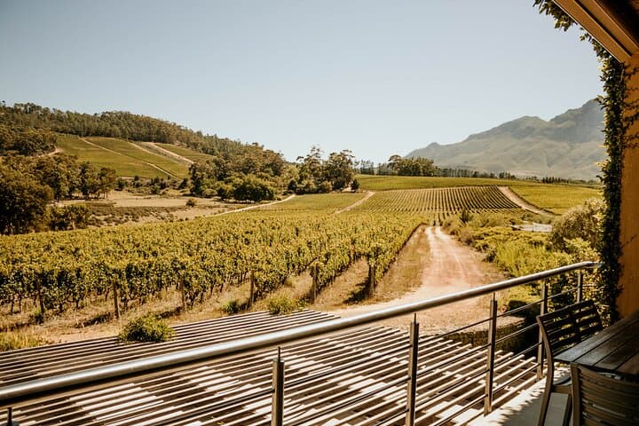 Full Day Winelands Tour: Private Cape Town Wine Tasting in Stellenbosch & Franschhoek photo 4
