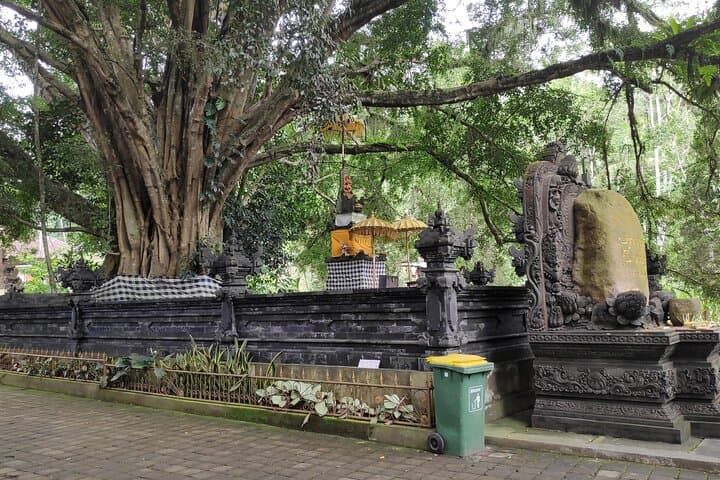Ubud Rice Terraces, Tirta Empul & Tibumana Waterfall Day Tour photo 2