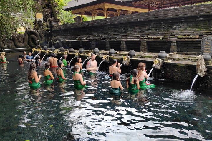 Ubud Rice Terraces, Tirta Empul & Tibumana Waterfall Day Tour photo 3