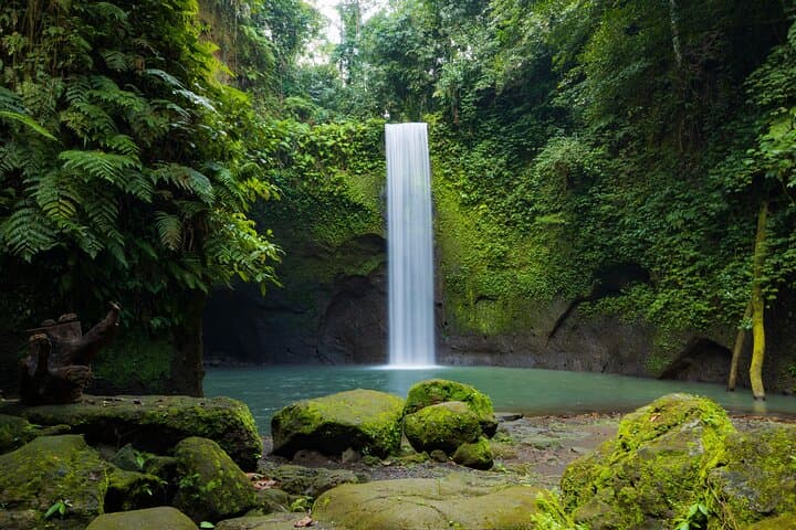 Ubud Rice Terraces, Tirta Empul & Tibumana Waterfall Day Tour photo 6