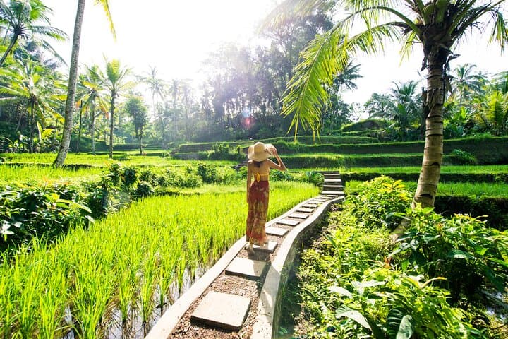 Ubud Rice Terraces, Tirta Empul & Tibumana Waterfall Day Tour photo 5