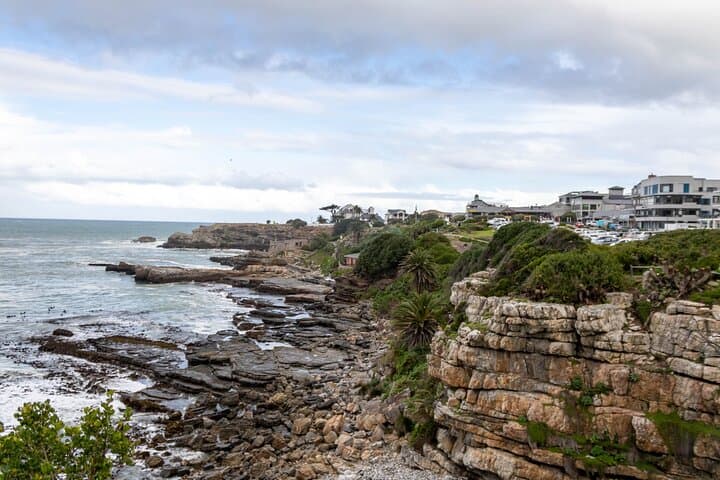 Hermanus Full-Day Coastal Tour — Whale Watching, Fynbos & Farm Flavors