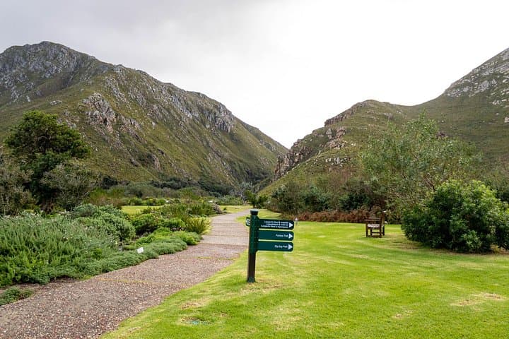 Hermanus Full-Day Coastal Tour — Whale Watching, Fynbos & Farm Flavors photo 4