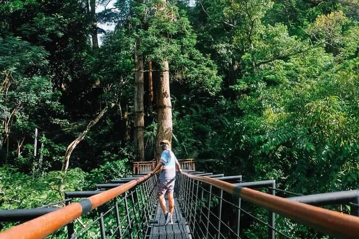 Zipline 18 Platforms at Hanuman World — Phuket's Canopy Adventure photo 4