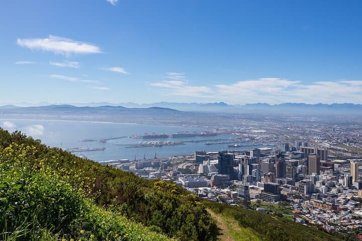 Cape Town Full Day Private City and Winelands Tour — Table Mountain to Constantia photo 5
