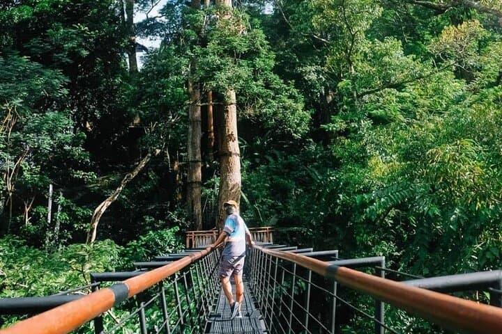 Soar Above Phuket: Hanuman World’s 32-Platform Zipline Adventure photo 4