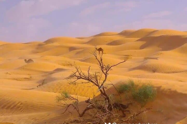 Private 2-Day Djerba Bivouac: Ksar Ghilan, Chenini & Tataouine Desert Camp photo 4