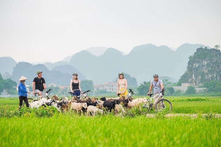 17-Day Vietnam Highlights: Hanoi to Ho Chi Minh — Culture, Caves & Coastal Cruises photo 4