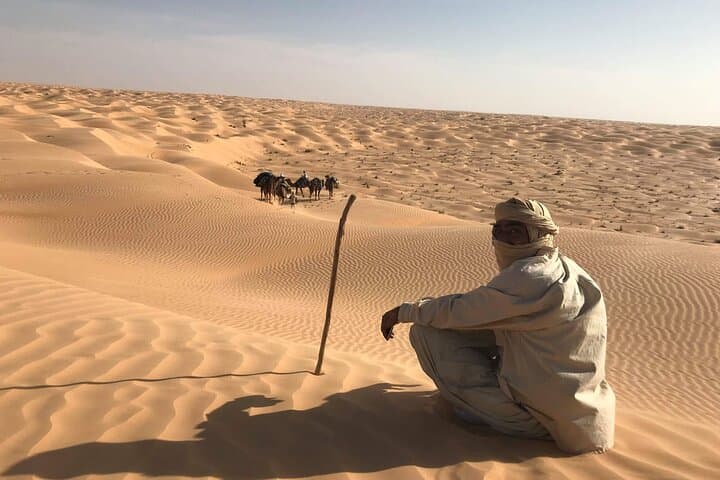 Three Days on a Dromedary: Desert Trek and Bivouac from Douz