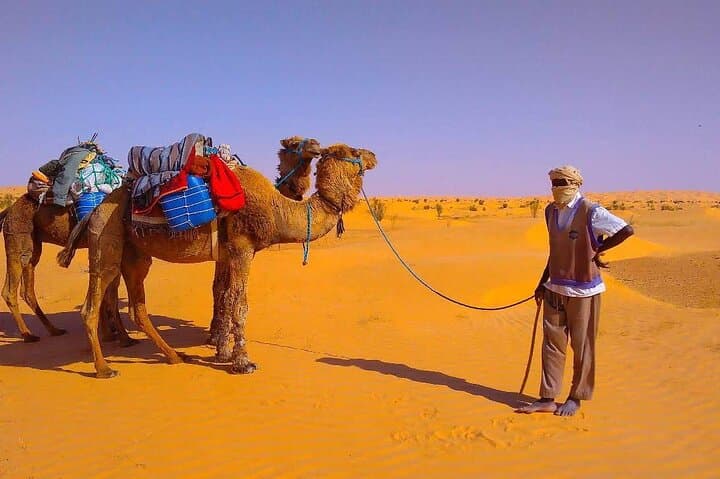 Three Days on a Dromedary: Desert Trek and Bivouac from Douz photo 2