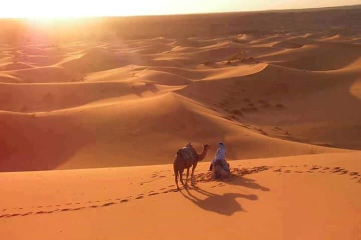 Three Days on a Dromedary: Desert Trek and Bivouac from Douz photo 3