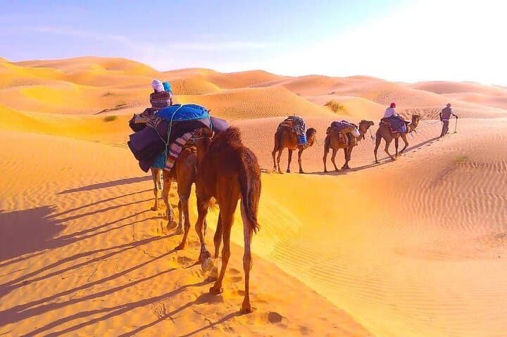 Three Days on a Dromedary: Desert Trek and Bivouac from Douz photo 4
