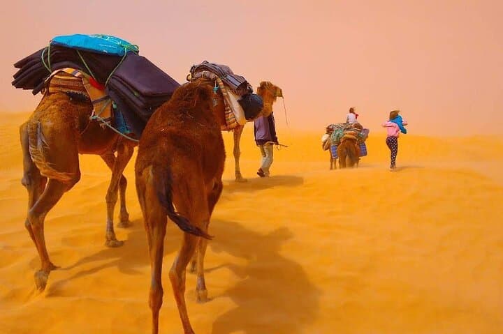 Three Days on a Dromedary: Desert Trek and Bivouac from Douz photo 5