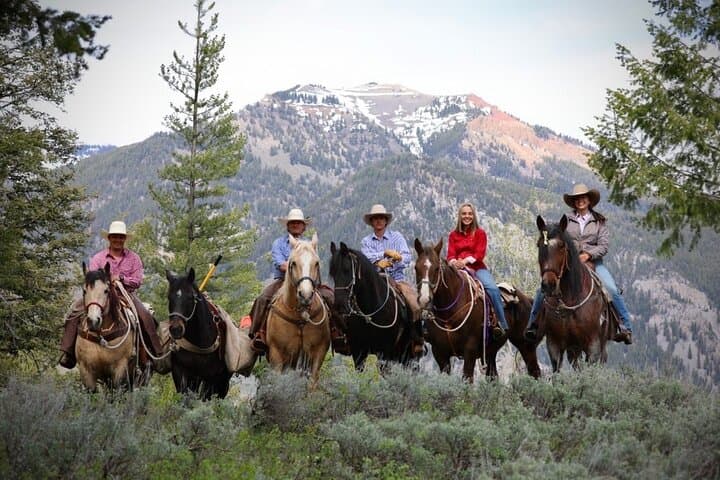 Teton View Horseback Ride with Lunch — Ann's Ridge Loop in Bridger-Teton photo 4