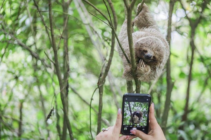Bijagua Coffee, Sloths & Llanos de Cortes: Full-Day Rainforest, Waterfall & Farm Tour photo 1