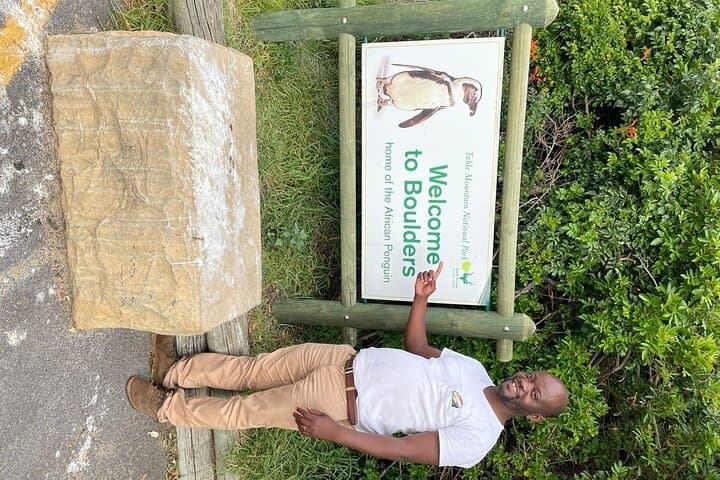 Cape Peninsula Private Full-Day Tour — Chapman's Peak, Cape Point & Boulders Beach Penguins photo 5