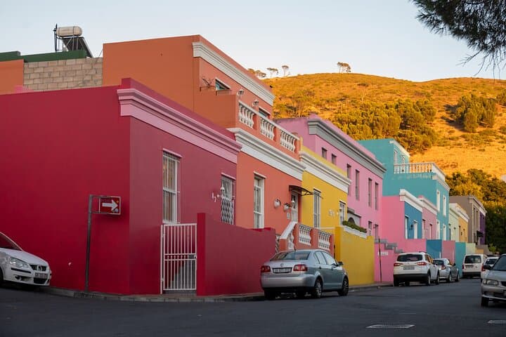Cape Peninsula Private Full-Day Tour — Chapman's Peak, Cape Point & Boulders Beach Penguins photo 4