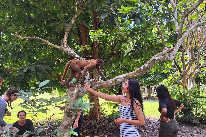 Iquitos Full-Day Monkey Island Cruise: Amazon River, Primate Sanctuary & Paiche Encounter photo 5