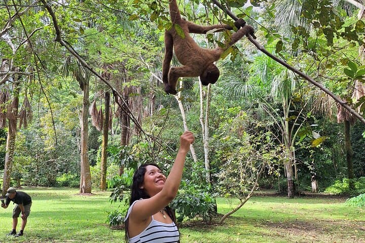 Iquitos Full-Day Monkey Island Cruise: Amazon River, Primate Sanctuary & Paiche Encounter photo 4