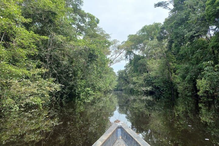 Full-Day Iquitos Black River Amazon Boat Tour to San Juan de Huashalado photo 2