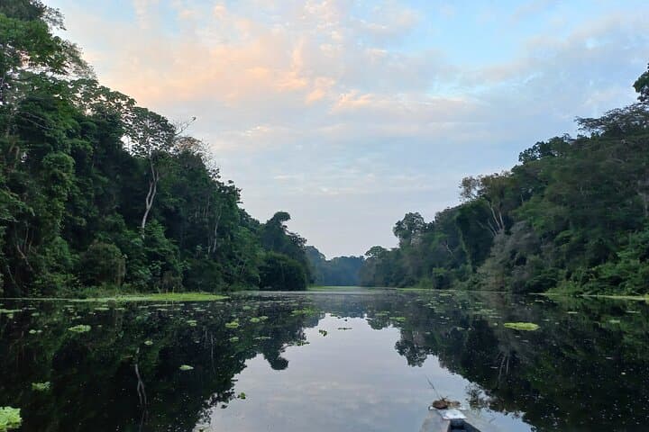 Full-Day Iquitos Black River Amazon Boat Tour to San Juan de Huashalado