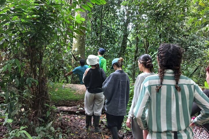 Full-Day Iquitos Black River Amazon Boat Tour to San Juan de Huashalado photo 3