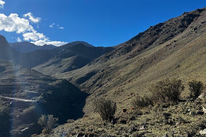 Vallecitos Full-Day Trek from Mendoza: Andes Hiking in Potrerillos photo 2