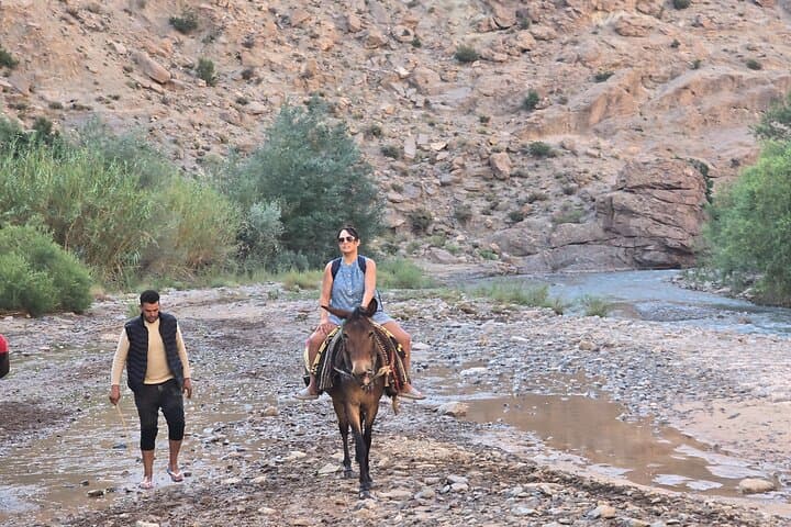 Trek with Mules or Donkeys in Dades Gorge and Roses Valley photo 6