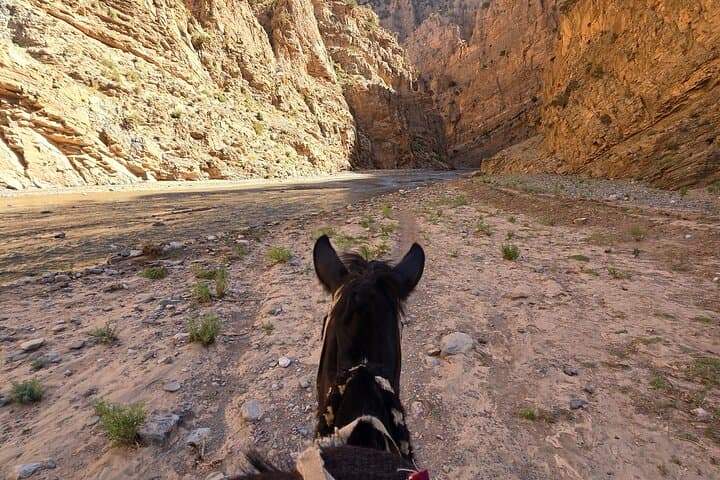 Trek with Mules or Donkeys in Dades Gorge and Roses Valley photo 5