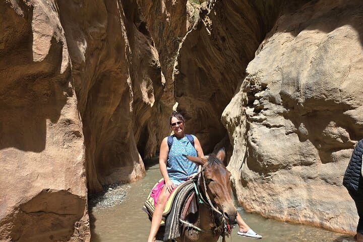 Trek with Mules or Donkeys in Dades Gorge and Roses Valley