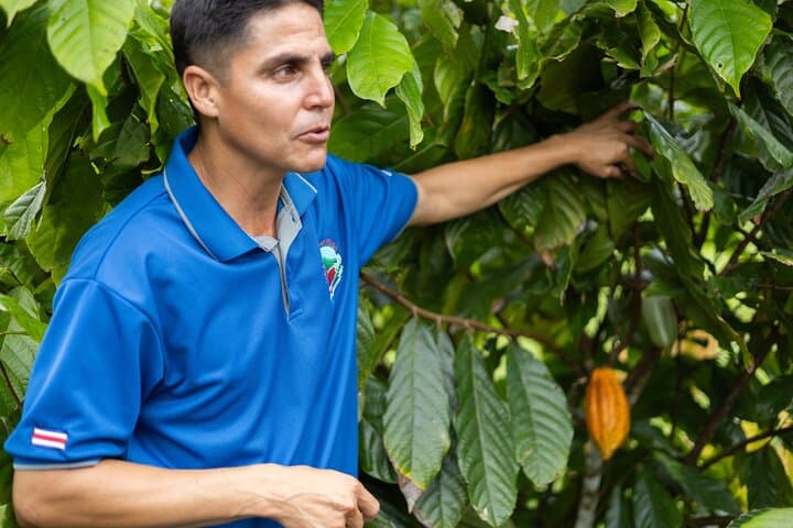 Bijagua Coffee, Sloths & Llanos de Cortes: Full-Day Rainforest, Waterfall & Farm Tour photo 4