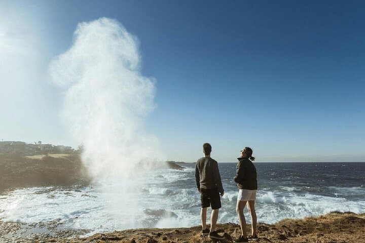 Kiama & South Coast Private Day Tour from Sydney — Sea Cliff Bridge, Blowhole & Fitzroy Falls