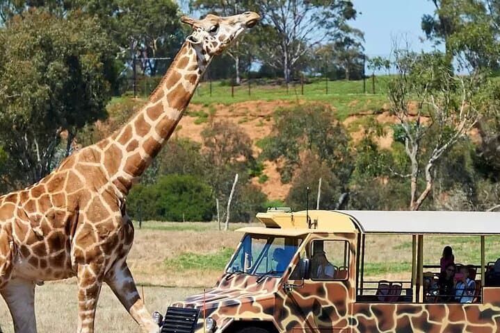 Werribee Zoo & Mansion Day Tour — Melbourne Wildlife and Heritage photo 3