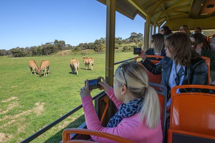 Werribee Zoo & Mansion Day Tour — Melbourne Wildlife and Heritage photo 5