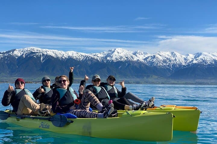 Paddle with Seals: Private Kayak & Wildlife Tour Kaikoura photo 2