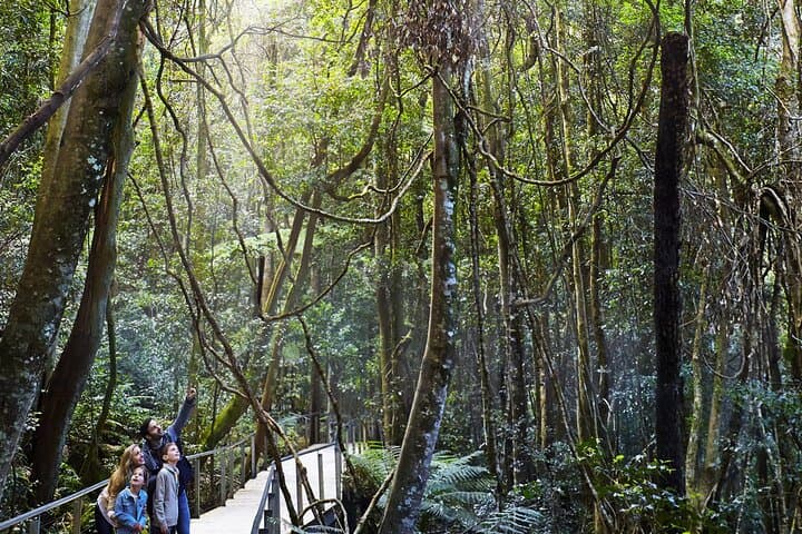 3-Day Private Blue Mountains and Kiama Tour from Sydney photo 4