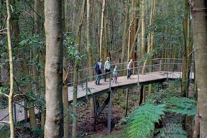 3-Day Private Blue Mountains and Kiama Tour from Sydney photo 5