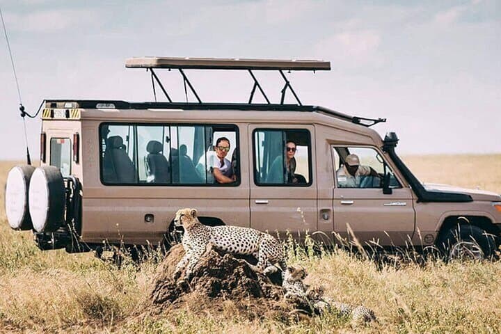 Two-Day Budget Safari: Tarangire & Ngorongoro Crater from Arusha photo 3